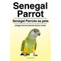 Senegal Parrot. Senegal Parrots as pets. Senegal Parrots Essential Owners Guide. - Paperback