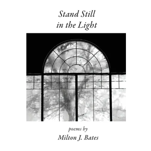 Stand Still in the Light - Paperback