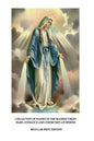 Collection of Masses of the Blessed Virgin Mary: Entrance and Communion Antiphons - Paperback