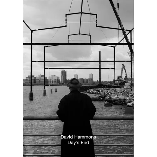 David Hammons: Day's End - Hardcover