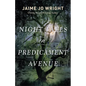 Night Falls on Predicament Avenue - Hardcover