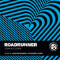 Roadrunner: A Song by Jonathan Richman and the Modern Lovers - Paperback