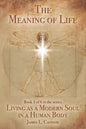 The Meaning of Life: Purpose and Mission of the Human Soul - Paperback