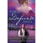 A Promise in Defiance: A Christian Historical Romance Series - Paperback
