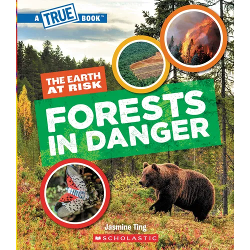 Forests in Danger (a True Book: The Earth at Risk) - Paperback