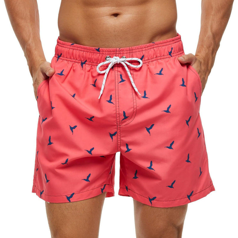 Mens Fashionable Sports Beach Shorts