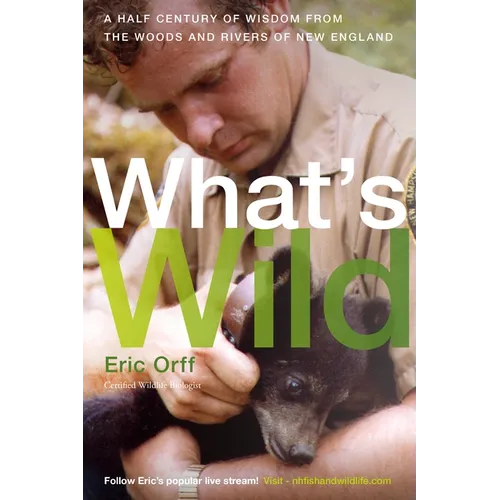 What's Wild: A Half Century of Wisdom from the Woods and Rivers of New England - Paperback