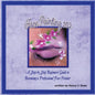 Face Painting 102 - A Step by Step Beginners Guide to Becoming a Professional Face Painter - Paperback