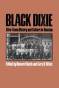 Black Dixie: Afro-Texan History and Culture in Houston - Paperback