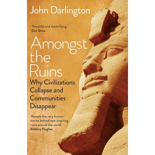 Amongst the Ruins: Why Civilizations Collapse and Communities Disappear - Hardcover
