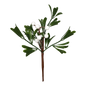 White Berry Mistletoe Pick