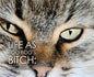 Life as Boo Boo's Bitch: The Fundamentals of Feline Fatherhood - Hardcover