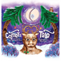 Comet's Tale - Hardcover