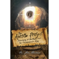 The Apostle Project: Discovery of Matthew and the Frankincense King - Paperback