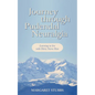 Journey Through Pudendal Neuralgia: Learning to Live with Pelvic Nerve Pain - Paperback