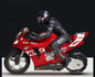 RC Remote Control Stunt Wheelie Motorcycle Model