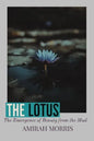 The Lotus - Paperback