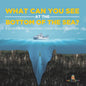 What Can You See in the Bottom of the Sea? A Journey to the Mariana Trench Grade 5 Children's Mystery & Wonders Books - Paperback