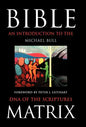 Bible Matrix: An Introduction to the DNA of the Scriptures - Hardcover