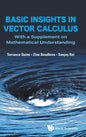 Basic Insights in Vector Calculus: With a Supplement on Mathematical Understanding - Hardcover
