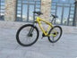 BMW Cross Country Mountain Bike Double Disc Brake