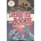 Labyrinths Borne: Spanish Edition - Paperback