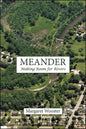 Meander: Making Room for Rivers - Paperback