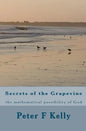 Secrets of the Grapevine: the mathematical possibility of God - Paperback