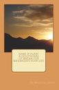 Make It Plain! A Devotional of Rhema for Maximizing Your Life - Paperback
