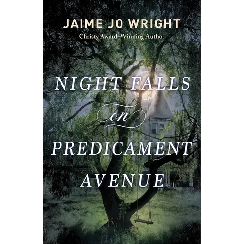 Night Falls on Predicament Avenue - Paperback