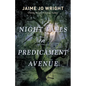 Night Falls on Predicament Avenue - Paperback