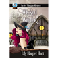 Wicked Winter - Paperback