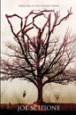 Decay - Paperback