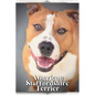 American Staffordshire Terrier: Dog breed overview and guide - Paperback