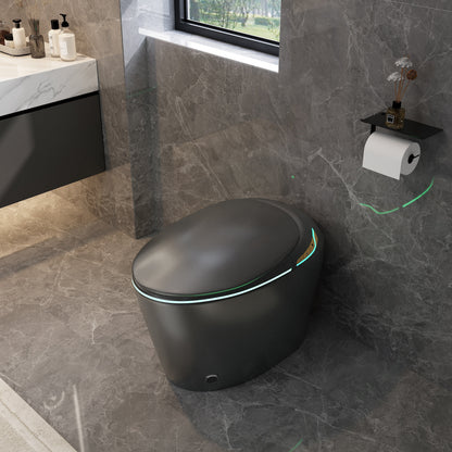 Unique Smart Toile with Built-in Bidet, Auto Open/Close Seat, Foot Sensor, LE...