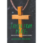 Fallen from Grace: Biblical References to Nigeria's Dilemma - Paperback