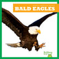 Bald Eagles - Library Binding