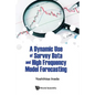 A Dynamic Use of Survey Data and High Frequency Model Forecasting - Hardcover