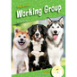Working Group - Library Binding