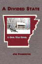 A Divided State: A Civil War Novel - Paperback