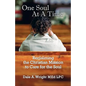 One Soul at a Time - Paperback