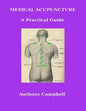 Medical Acupuncture: A Practical Guide - Paperback
