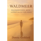 Waldmeer: A Spiritual Fiction Series - Paperback