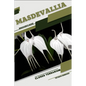 Masdevallia: Closed terrarium, Beginner's Guide - Paperback