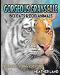 Gorgeous Grayscale: Big Cats & Zoo Animals: Adult Coloring Book - Paperback