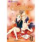 Sand Chronicles, Vol. 3 - Paperback