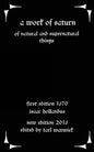 A Work of Saturn: Of Natural and Supernatural Things - Paperback