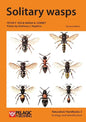 Solitary wasps - Paperback