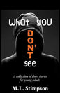 What You Don't See: A Collection of Short Stories for Young Adults - Paperback
