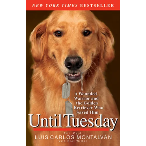 Until Tuesday - Paperback
